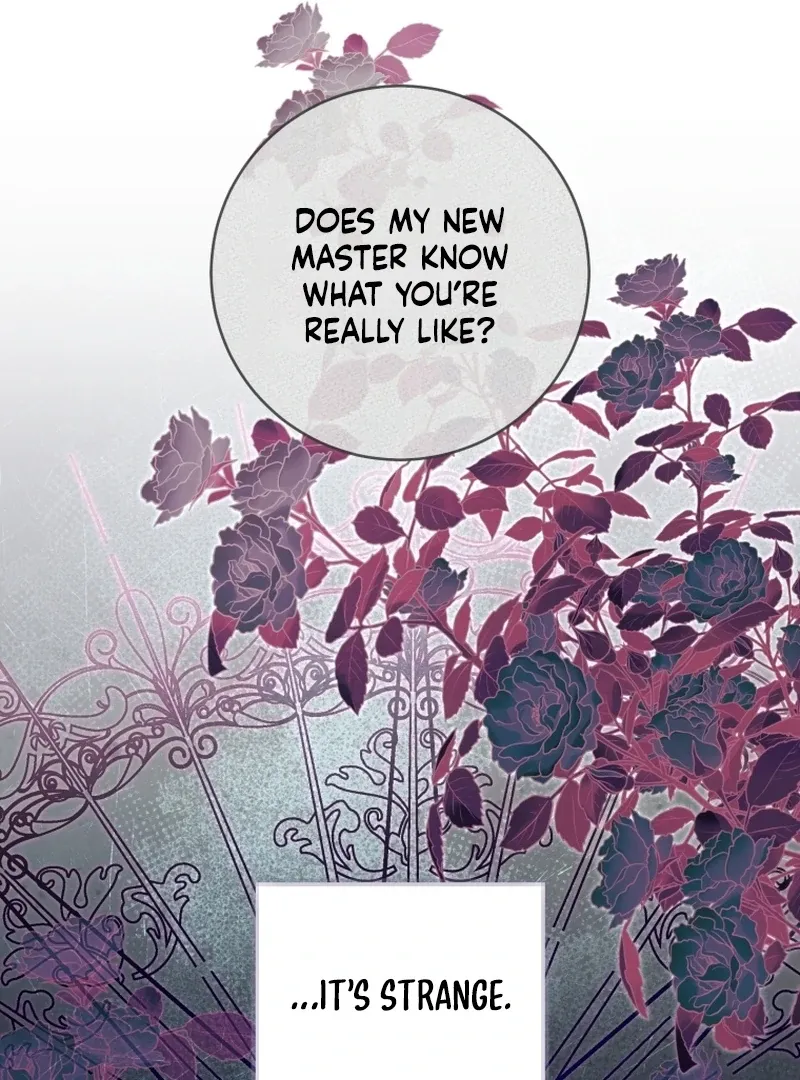 The Extra Wants to Escape From the Obsessive Male Lead Chapter 30 page 40 - 