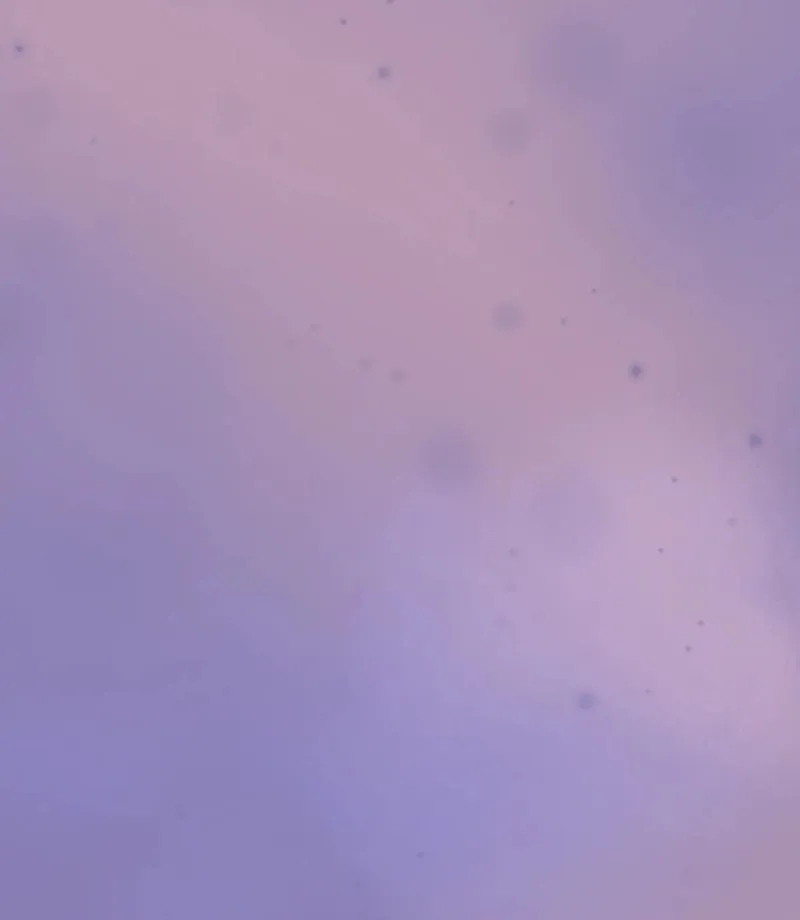 The Fairy Bound Me Chapter 2 page 89 - 