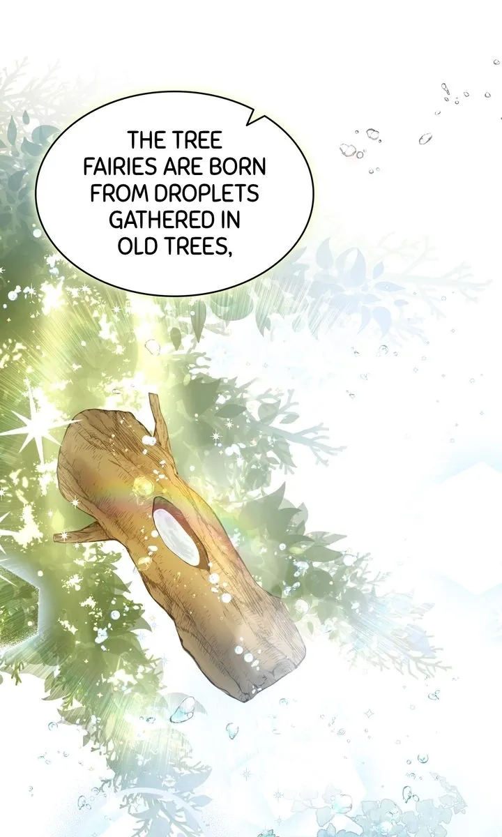 The Fairy Pact Chapter 1 page 12 - 