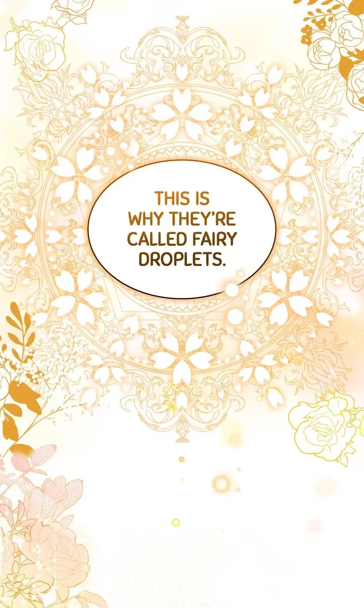 The Fairy Pact Chapter 1 page 15 - 
