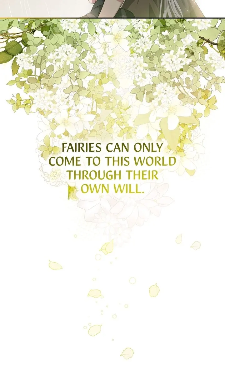 The Fairy Pact Chapter 1 page 19 - 