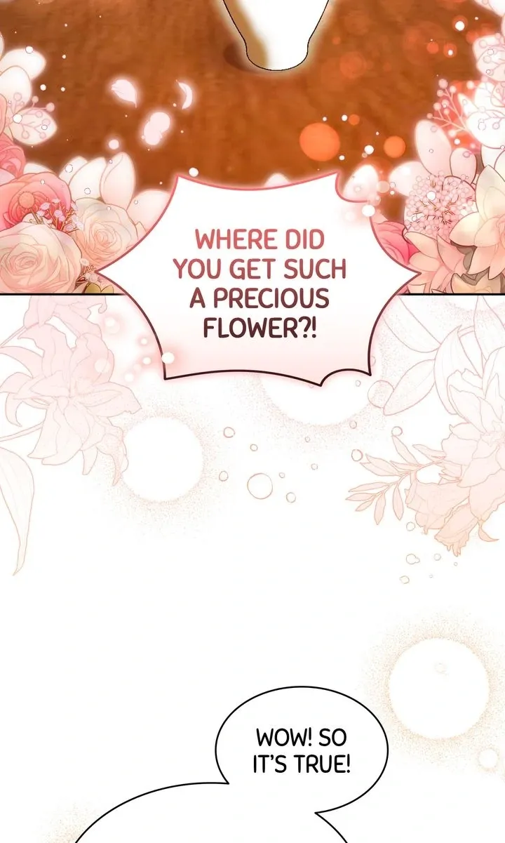 The Fairy Pact Chapter 15 page 13 - 
