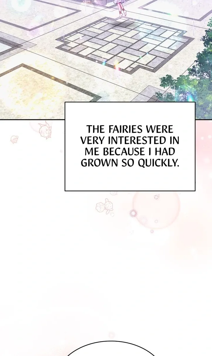 The Fairy Pact Chapter 26 page 67 - 