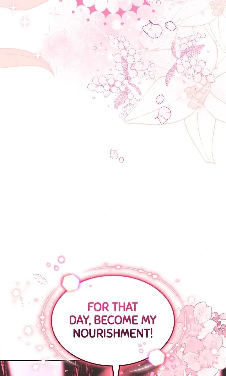 The Fairy Pact Chapter 33 page 62 - 