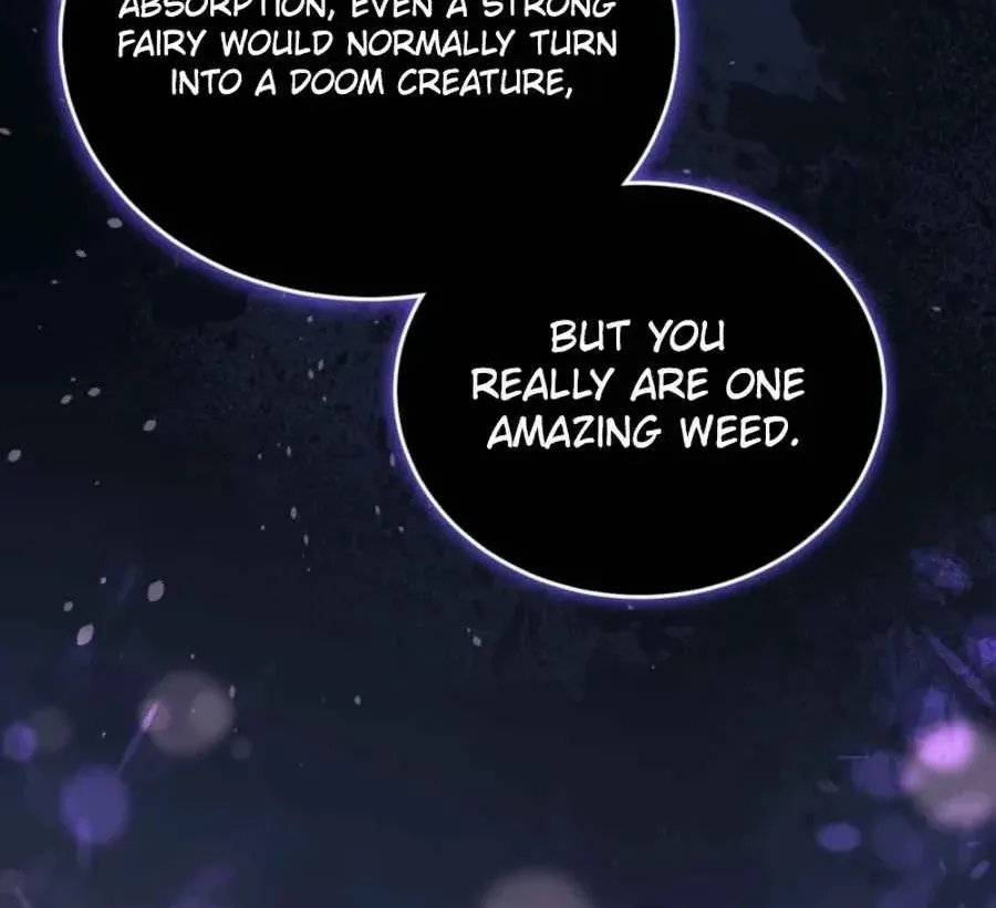 The Fairy Pact Chapter 42 page 72 - 