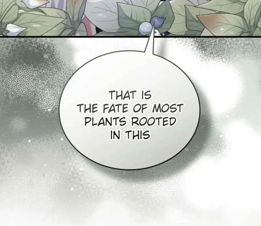 The Fairy Pact Chapter 53 page 29 - 