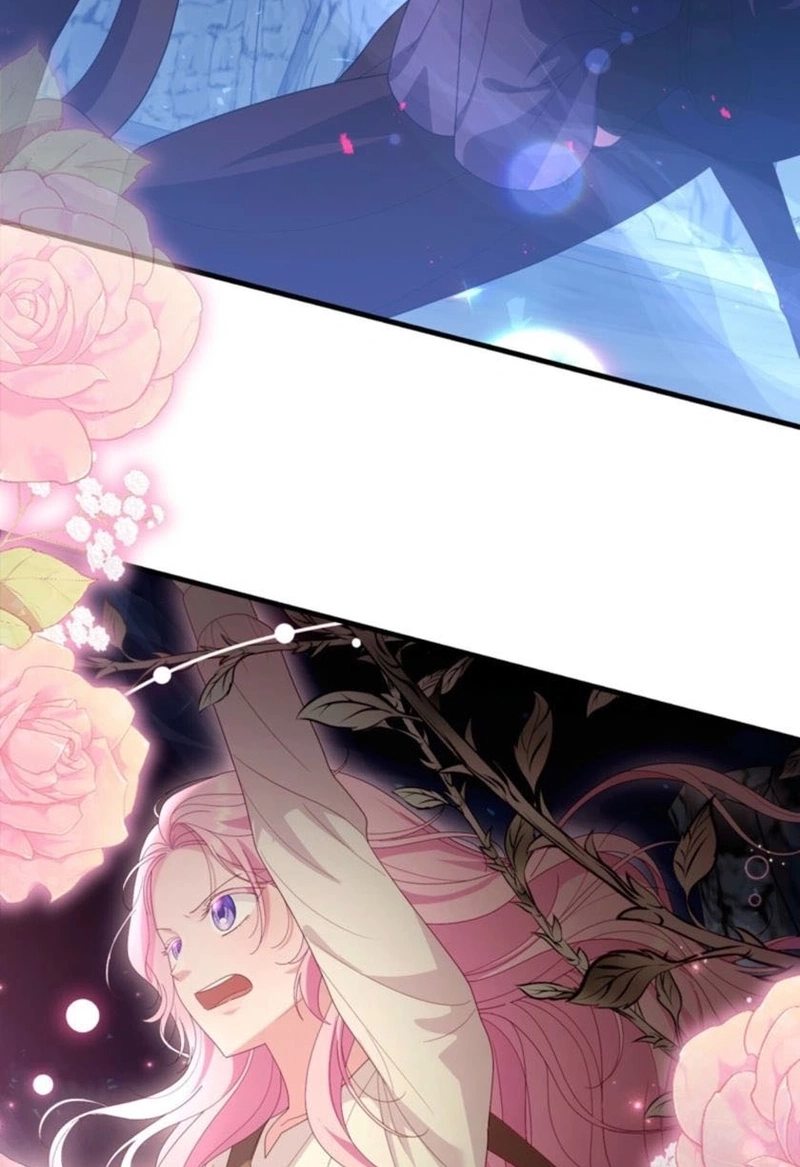 The Fairy Pact Chapter 588 page 5 - 