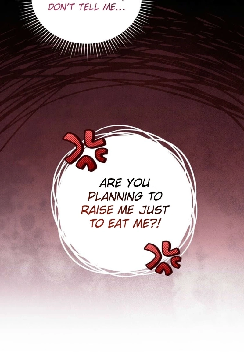 The Fairy Pact Chapter 598 page 81 - 