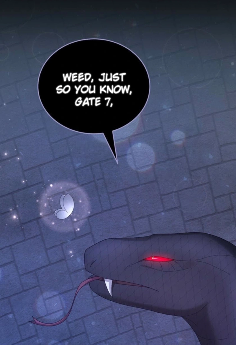 The Fairy Pact Chapter 608 page 46 - 
