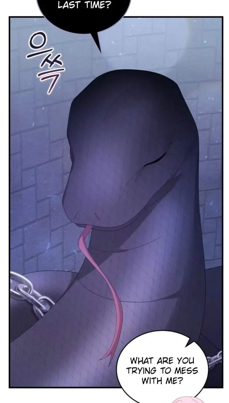 The Fairy Pact Chapter 65 page 44 - 