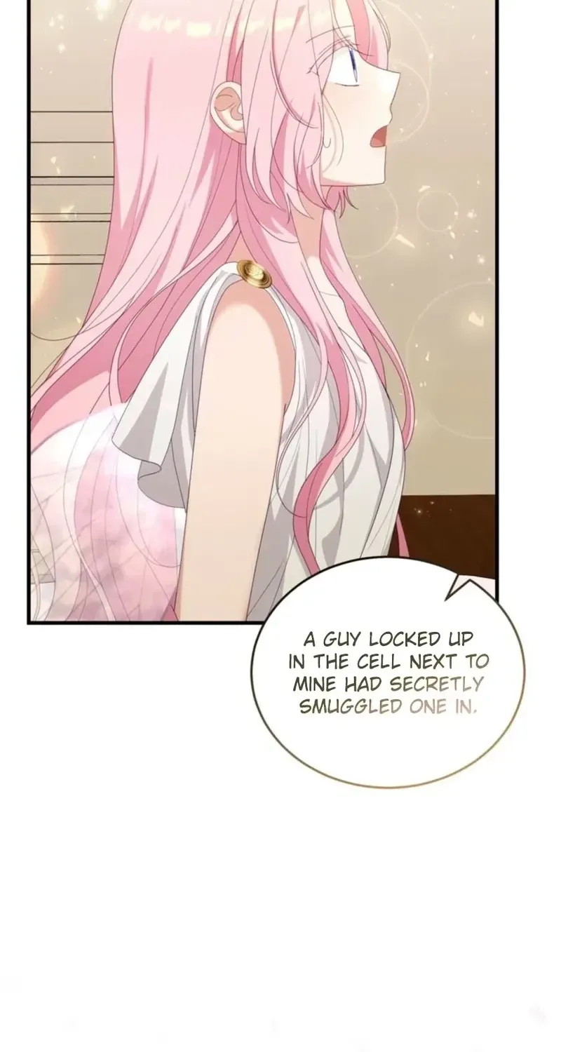 The Fairy Pact Chapter 65 page 6 - 