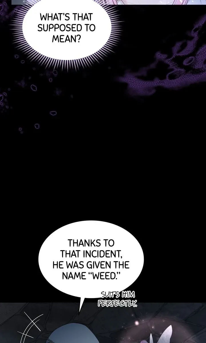 The Fairy Pact Chapter 7 page 12 - 