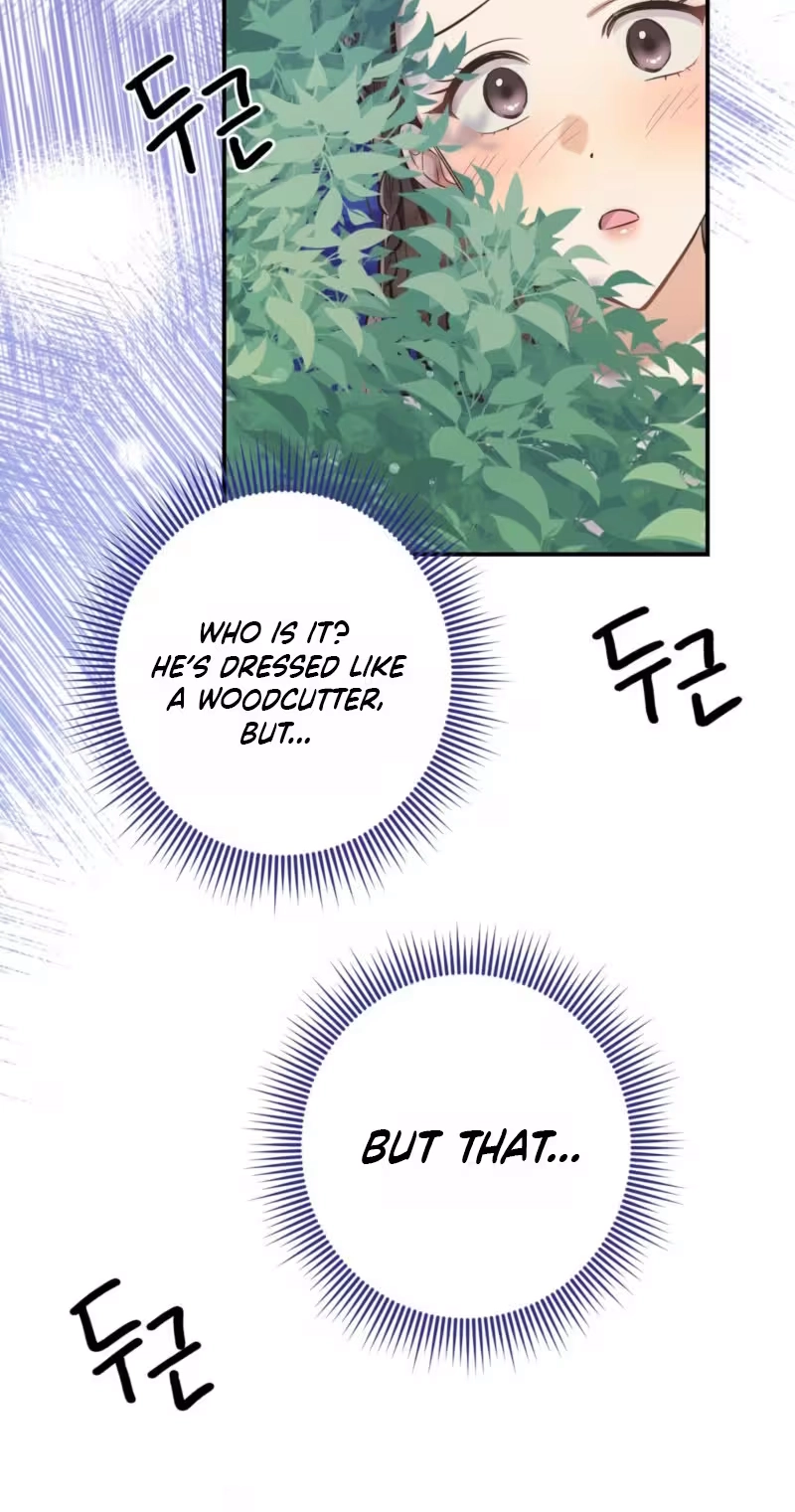The Fairy Spied on the Lumberjack Chapter 0 page 27 - 