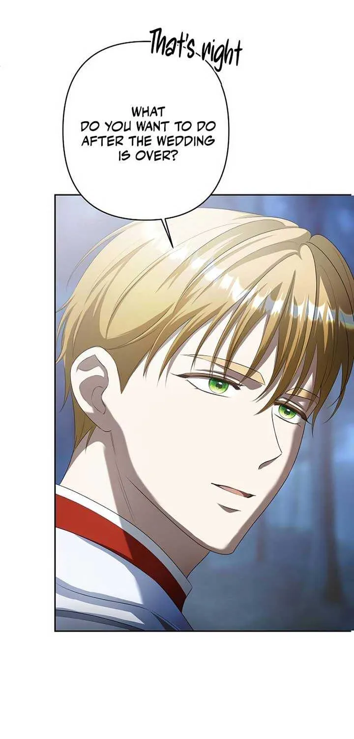 The Fake Bride Can’t Escape Chapter 12 page 31 - 