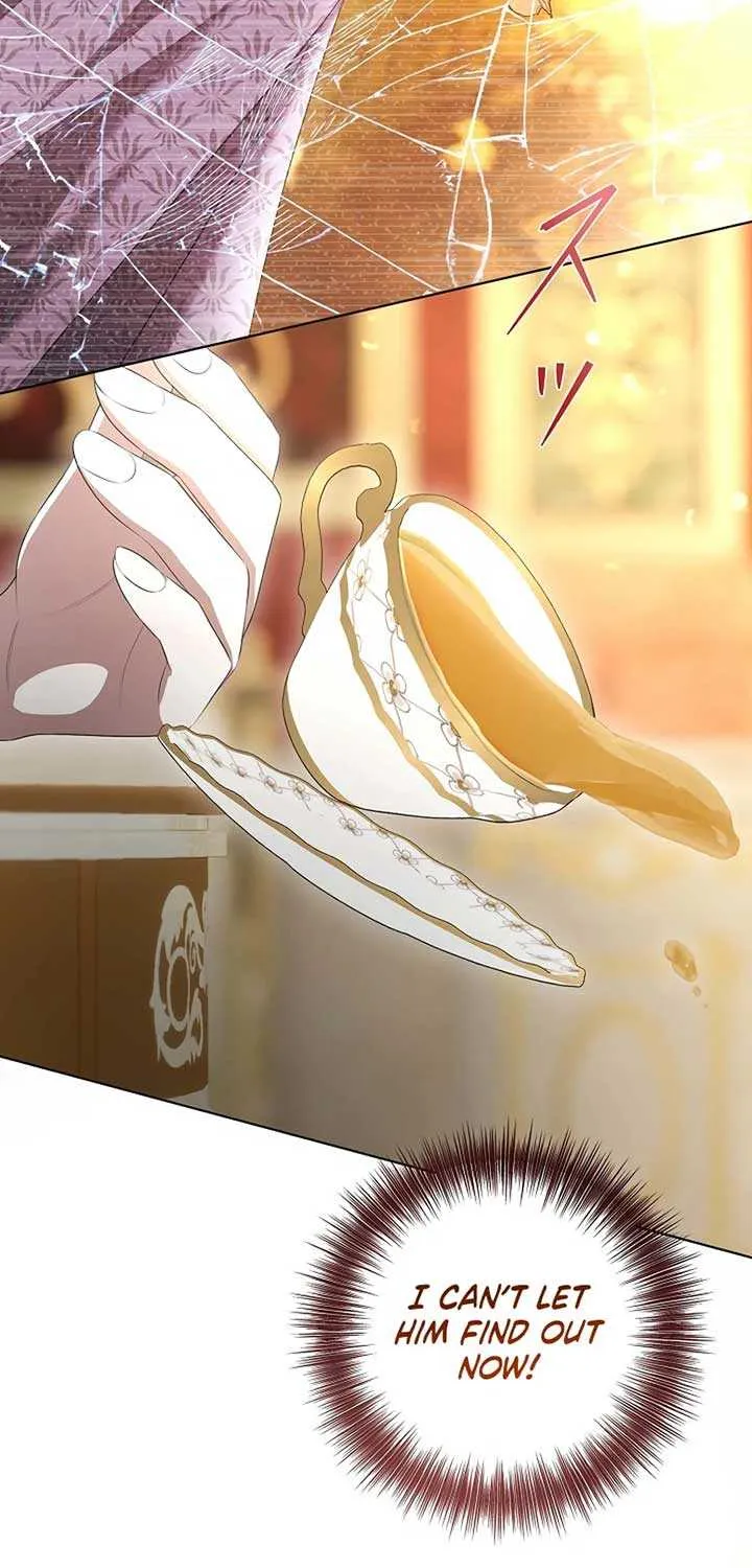 The Fake Bride Can’t Escape Chapter 15 page 47 - 