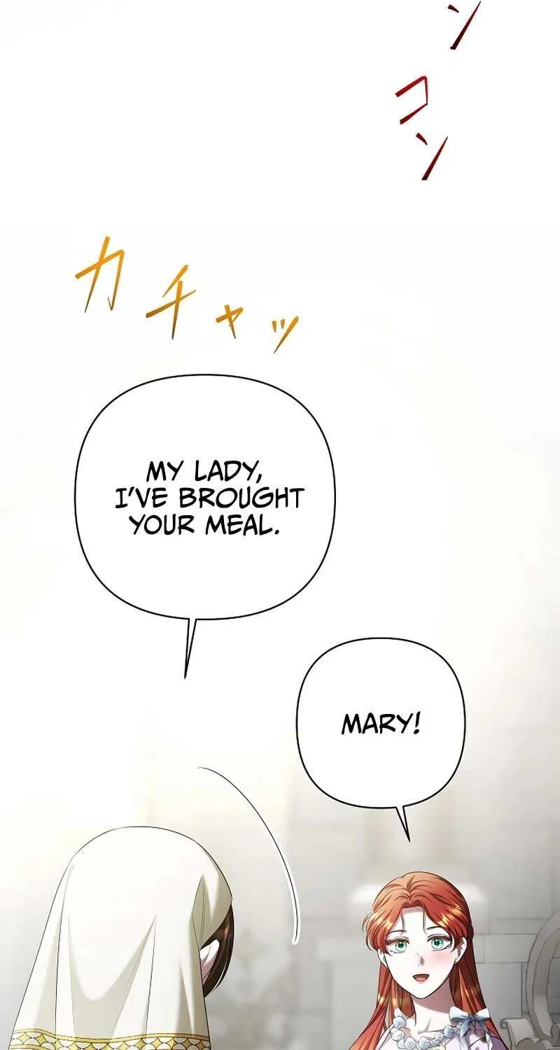 The Fake Bride Can’t Escape Chapter 27 page 64 - 