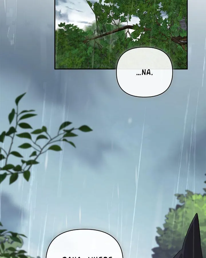 The Fake Master Who Accidentally Became the Strongest Chapter 13 page 41 - 