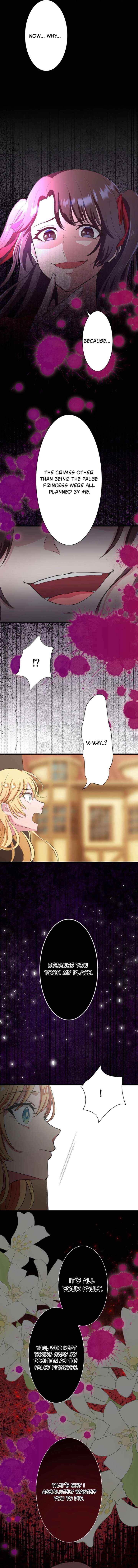 The Fake Princess Doesn