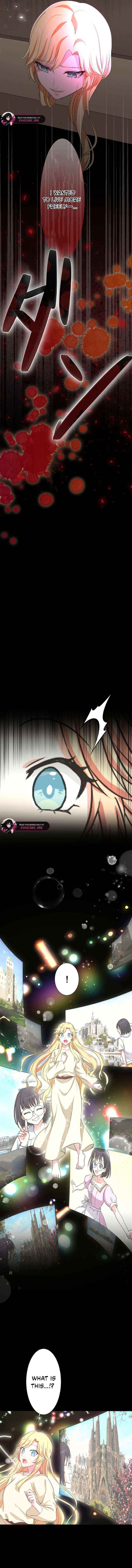 The Fake Princess Doesn