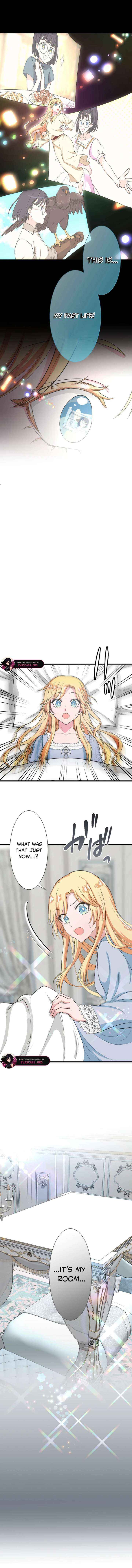 The Fake Princess Doesn