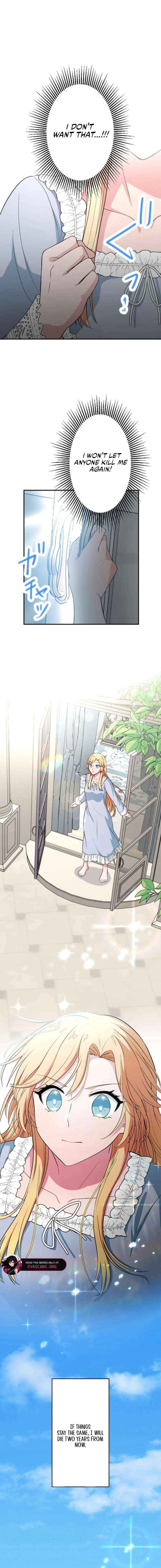The Fake Princess Doesn