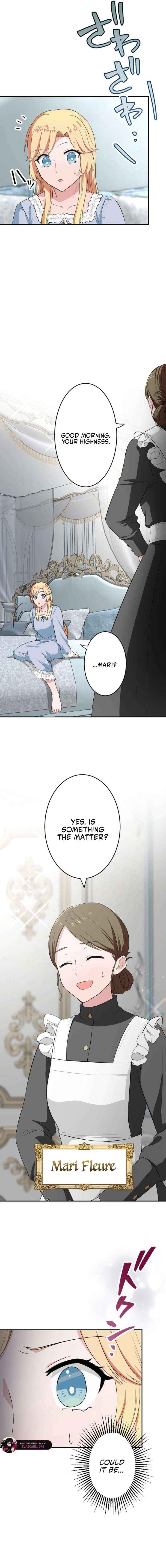 The Fake Princess Doesn