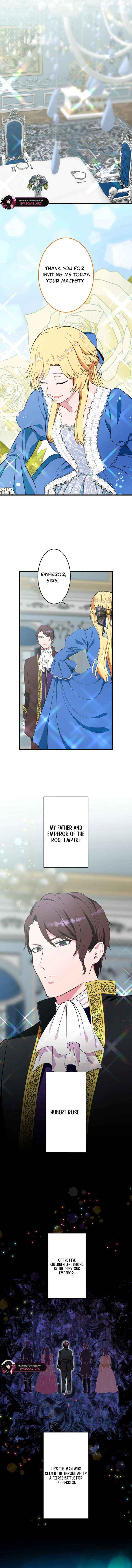 The Fake Princess Doesn