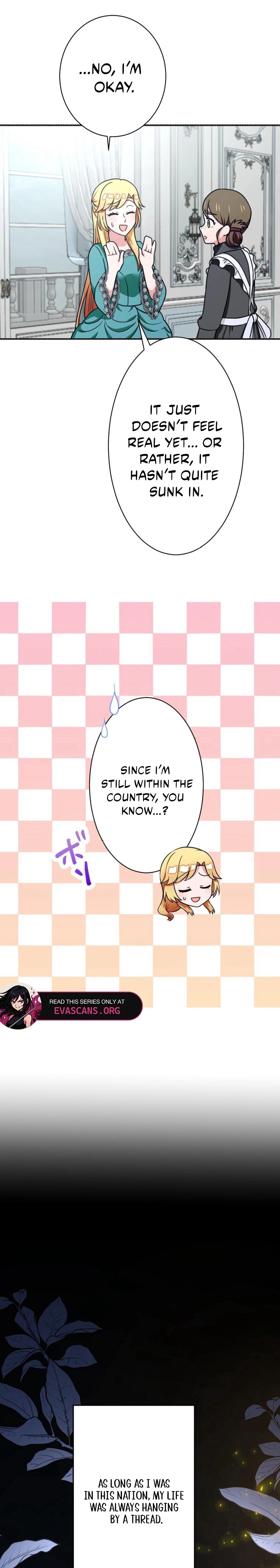 The Fake Princess Doesn