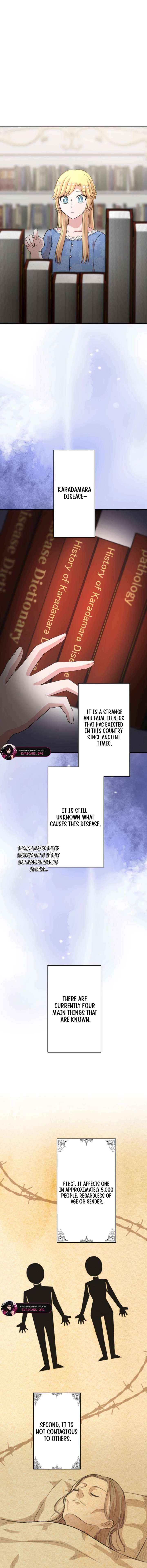 The Fake Princess Doesn