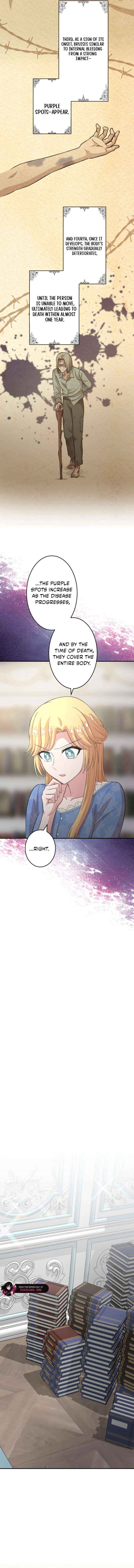 The Fake Princess Doesn