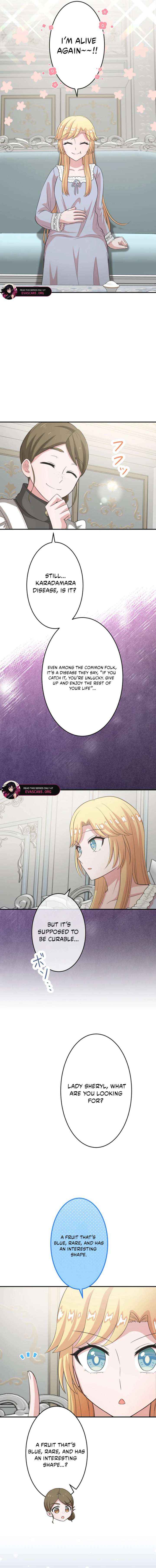The Fake Princess Doesn