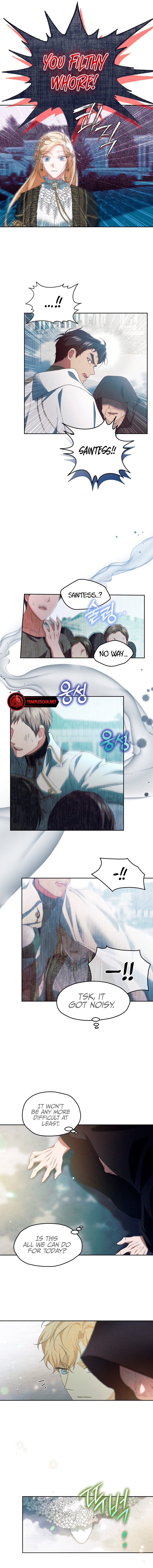 The Fake Saint Wants To Leave Chapter 14 page 14 - 