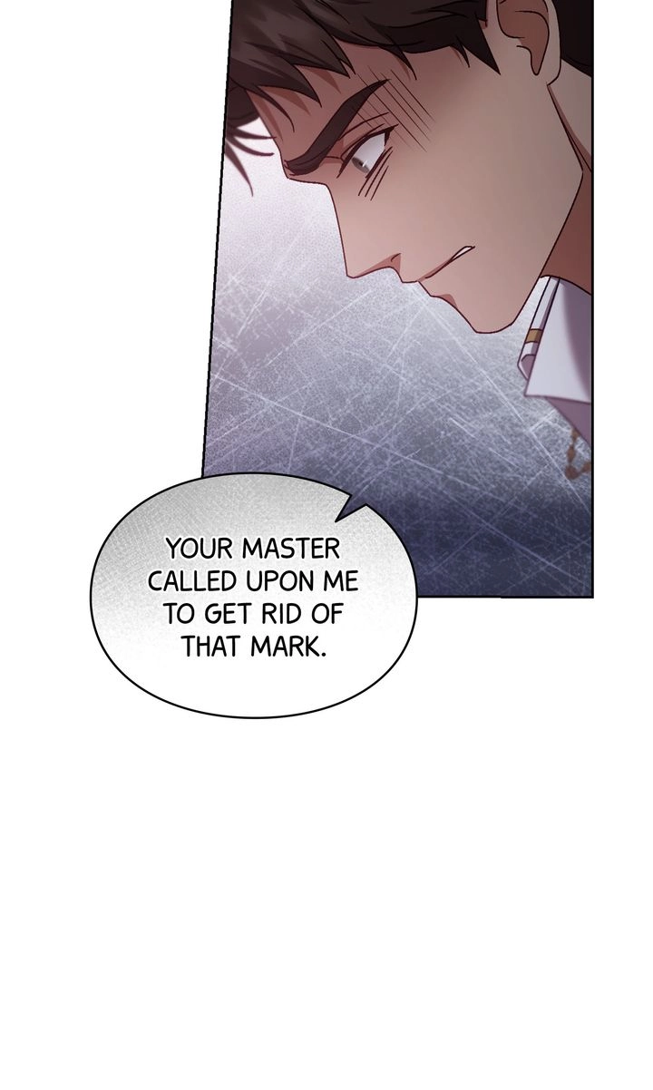 The Fake Saintess Awaits Her Exit Chapter 44 page 17 - 
