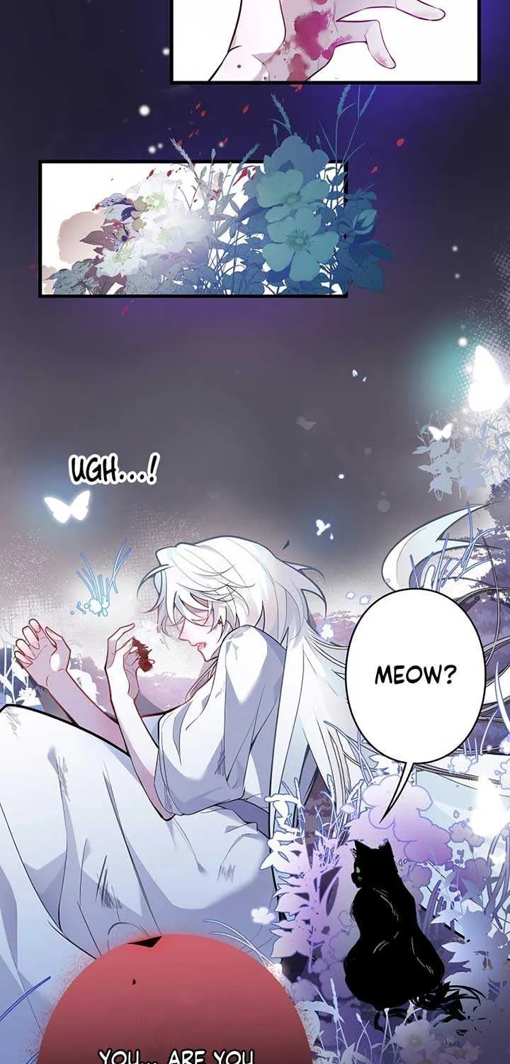 The Fake Saint’s Splendid Revenge Chapter 1 page 3 - 