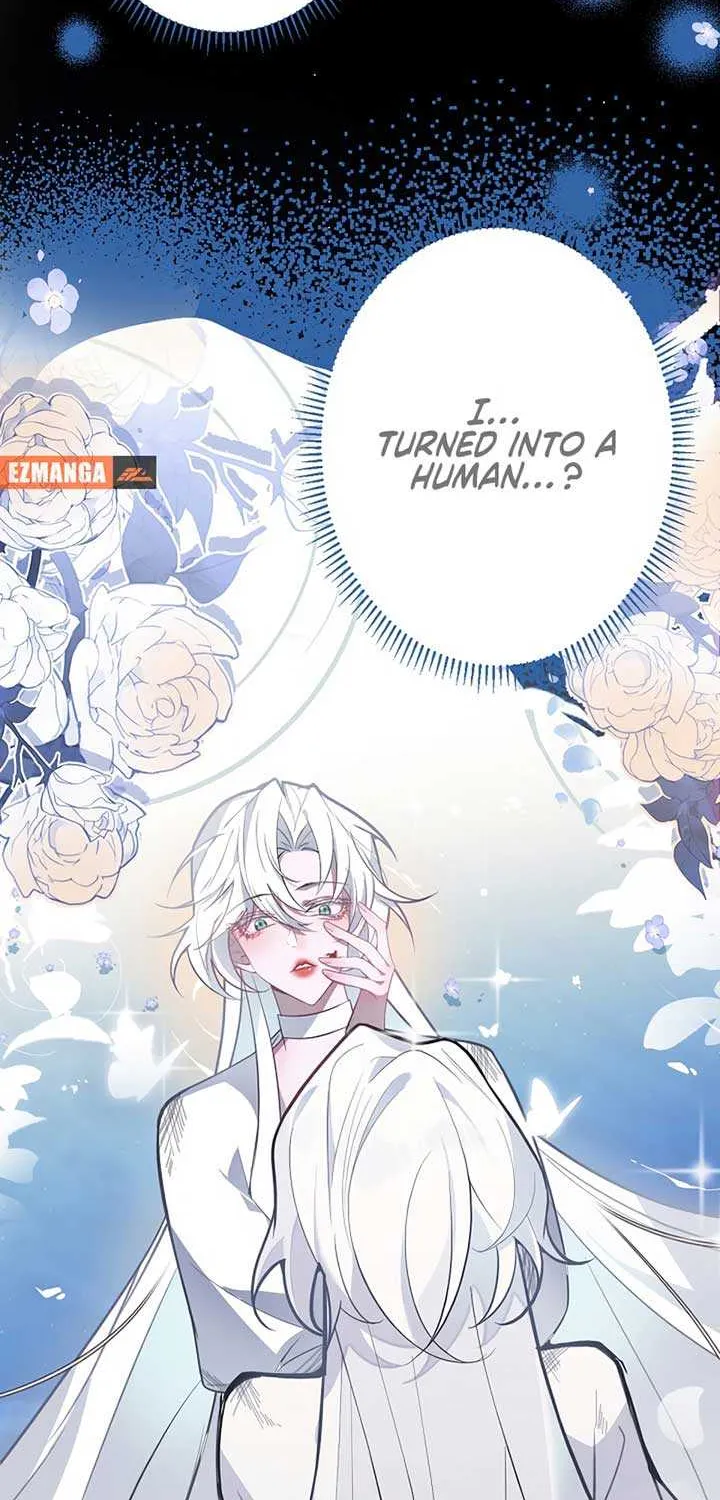 The Fake Saint’s Splendid Revenge Chapter 1 page 10 - 