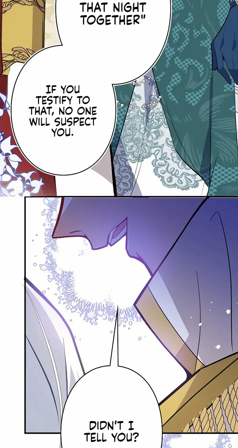 The Fake Saint’s Splendid Revenge Chapter 13 page 17 - 