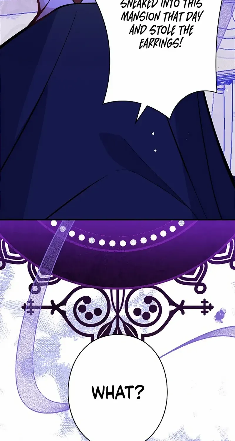 The Fake Saint’s Splendid Revenge Chapter 13 page 9 - 