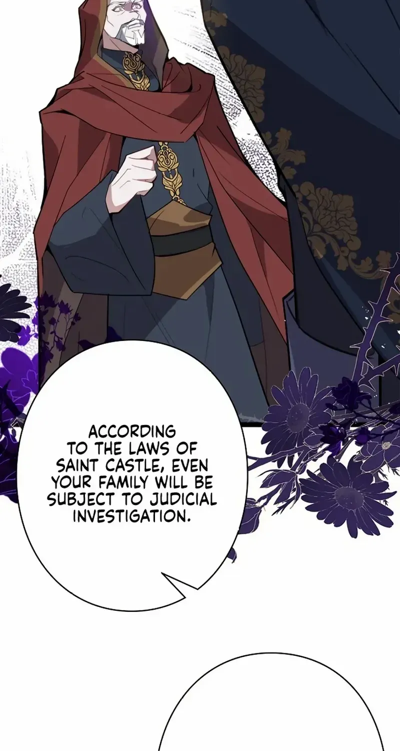 The Fake Saint’s Splendid Revenge Chapter 14 page 3 - 