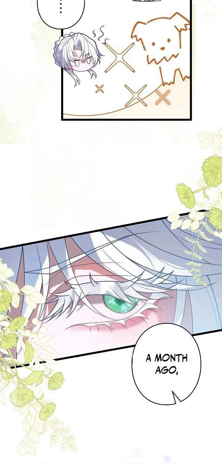 The Fake Saint’s Splendid Revenge Chapter 17 page 17 - 