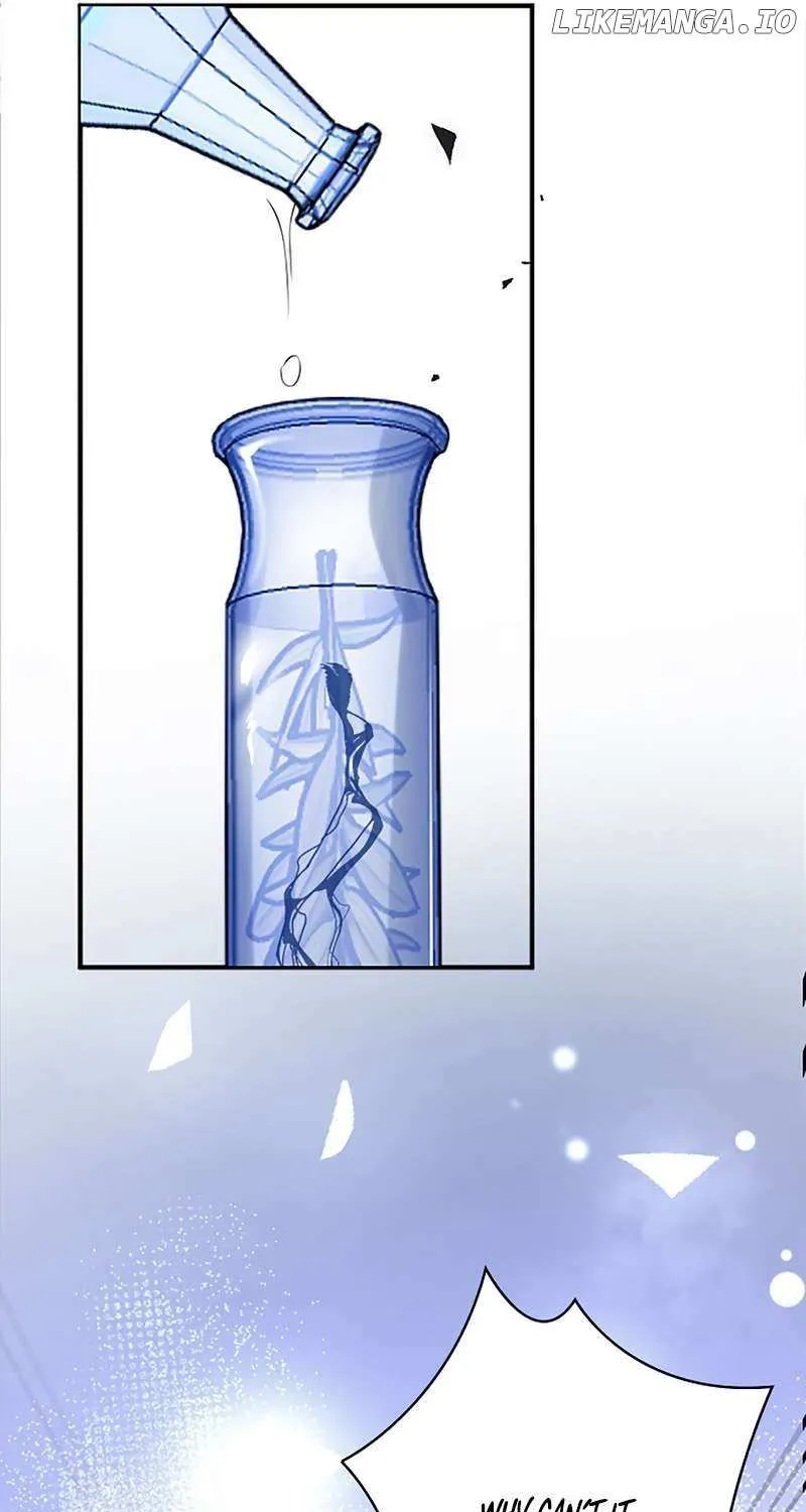 The Fake Saint’s Splendid Revenge Chapter 21 page 40 - 