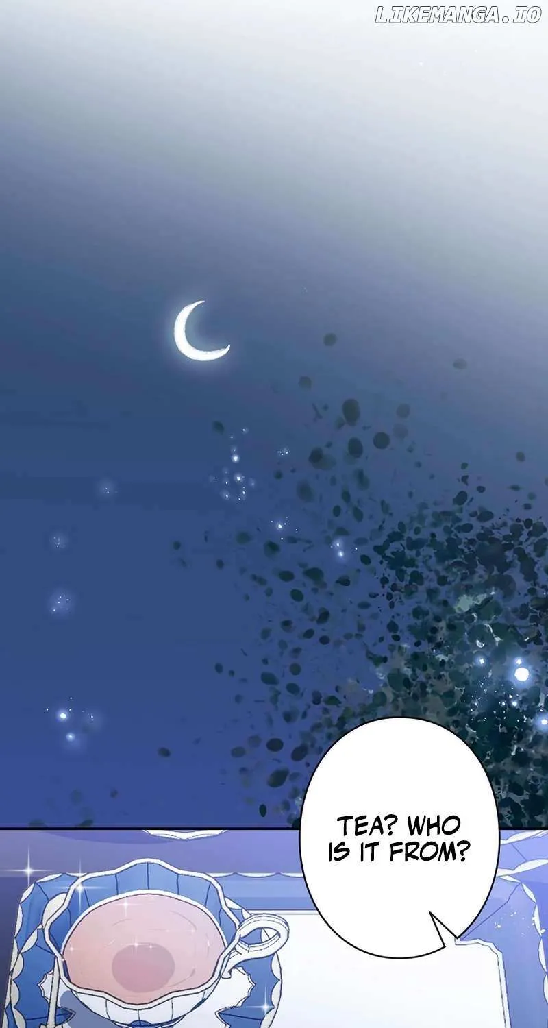 The Fake Saint’s Splendid Revenge Chapter 25 page 11 - 