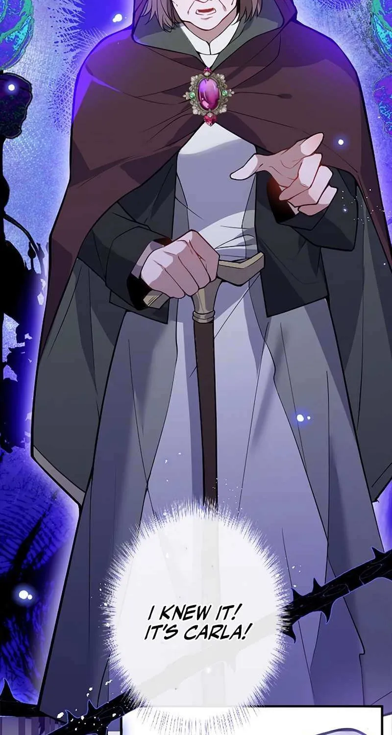 The Fake Saint’s Splendid Revenge Chapter 26 page 27 - 