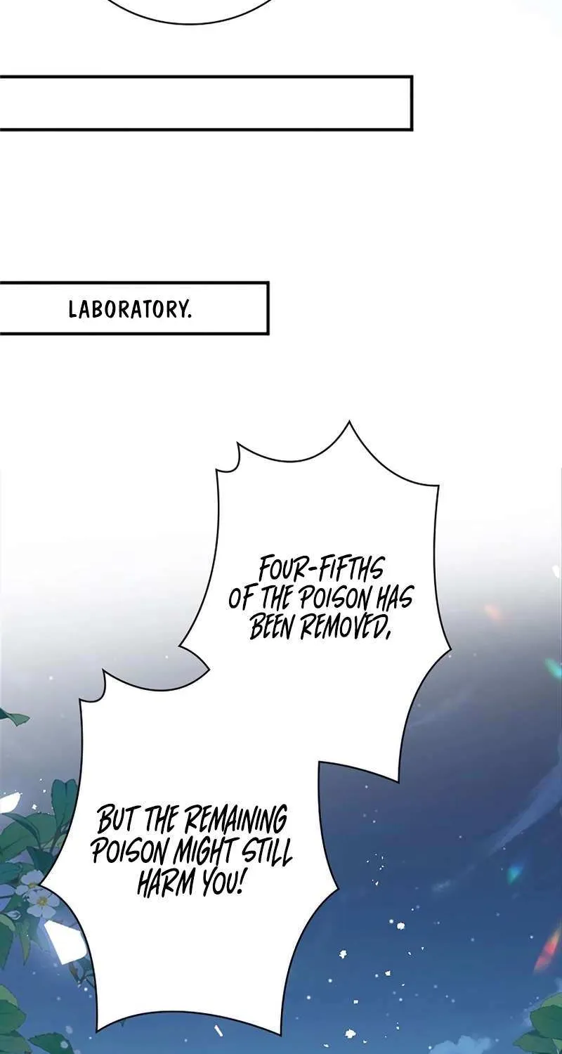 The Fake Saint’s Splendid Revenge Chapter 27 page 42 - 