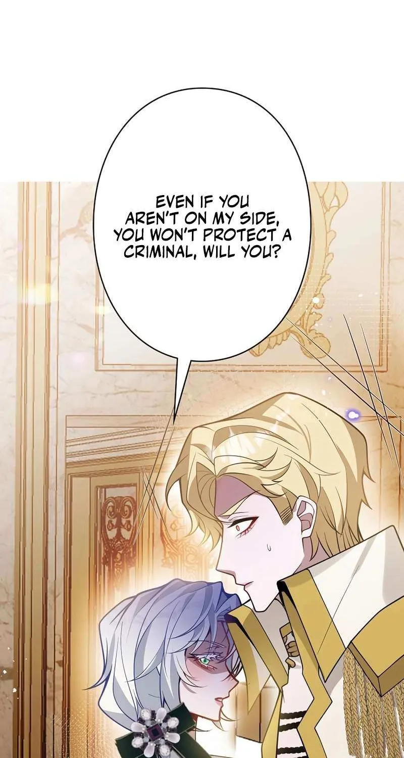 The Fake Saint’s Splendid Revenge Chapter 28 page 17 - 