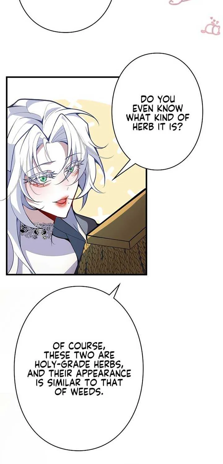 The Fake Saint’s Splendid Revenge Chapter 3 page 38 - 