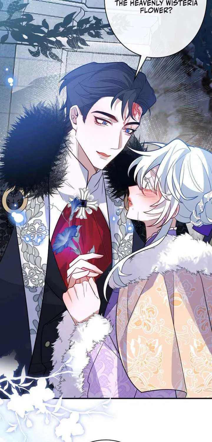 The Fake Saint’s Splendid Revenge Chapter 41 page 41 - 