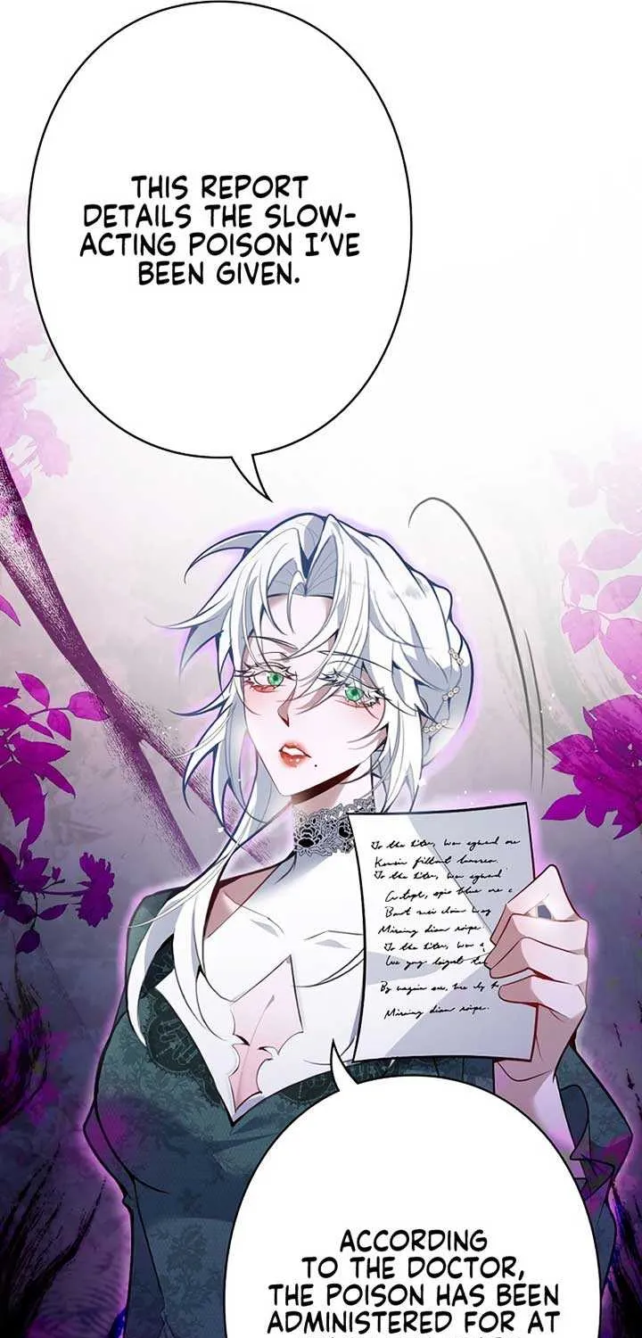 The Fake Saint’s Splendid Revenge Chapter 5 page 17 - 