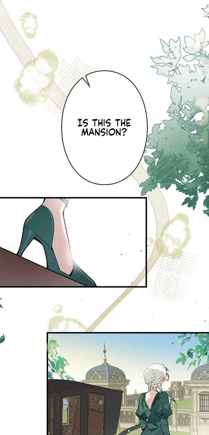 The Fake Saint’s Splendid Revenge Chapter 5 page 43 - 