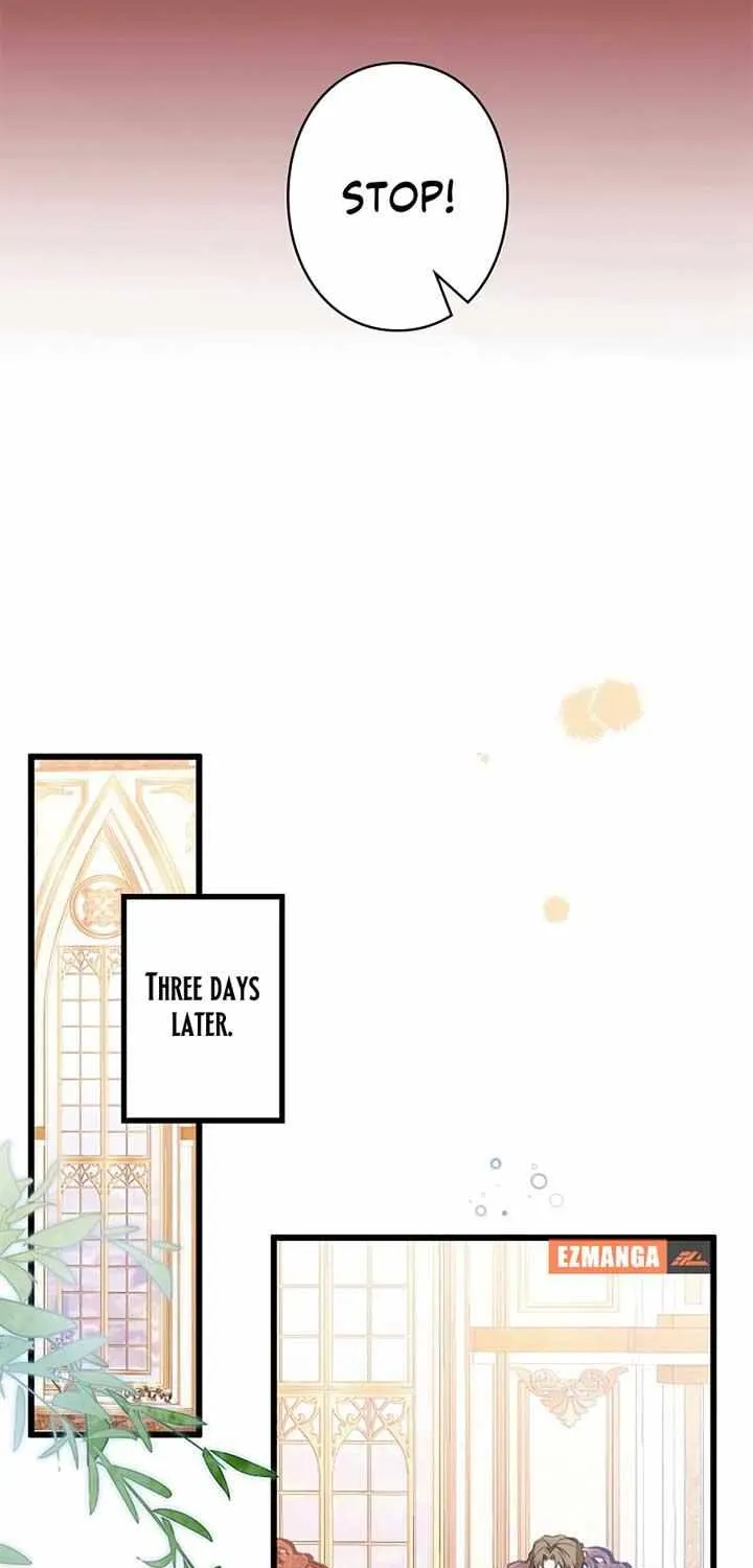 The Fake Saint’s Splendid Revenge Chapter 8 page 17 - 