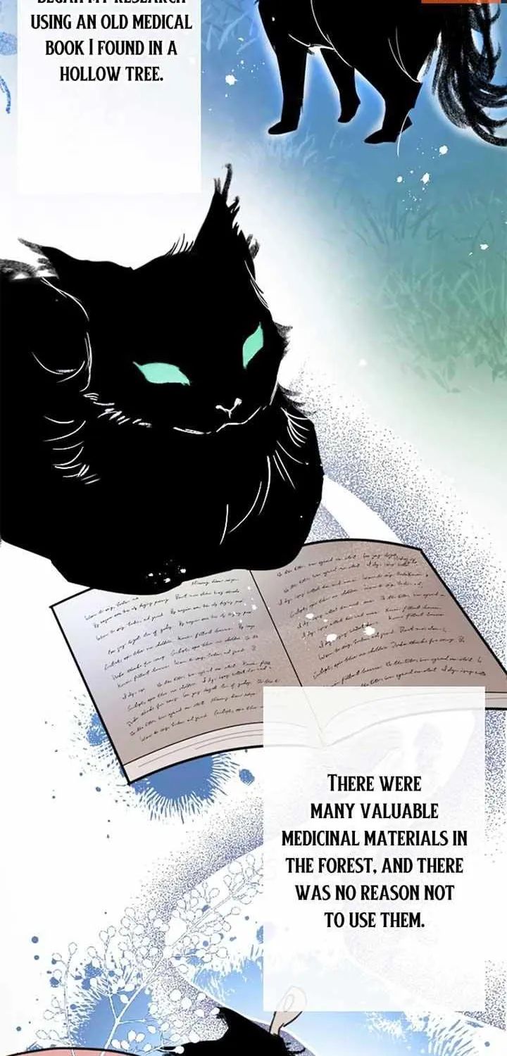 The Fake Saint’s Splendid Revenge Chapter 9 page 16 - 